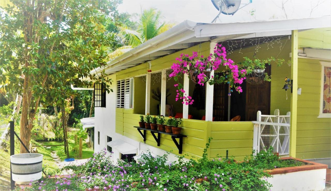 Leatherback Lodge Eco B&B Salybia 외부 사진